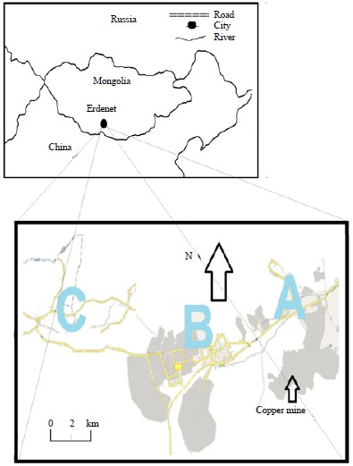 Image for - Bio-monitoring of Heavy Metals in the Vicinity of Copper Mining Site at Erdenet, Mongolia