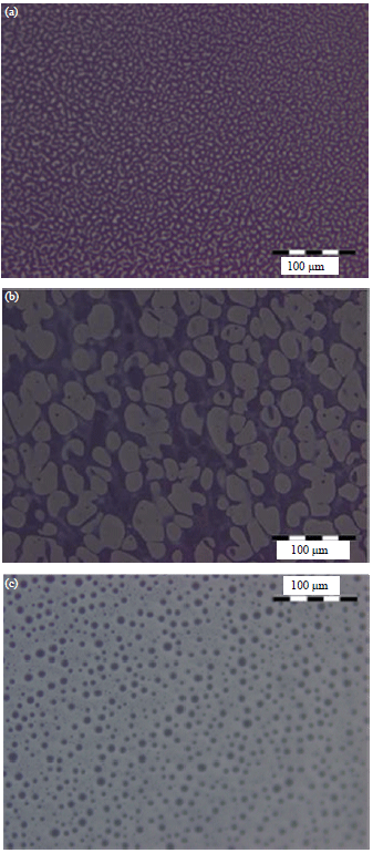Image for - Rheological Behaviour of Ethylene-Vinyl-Acetate (EVA) Modified Road Bitumen