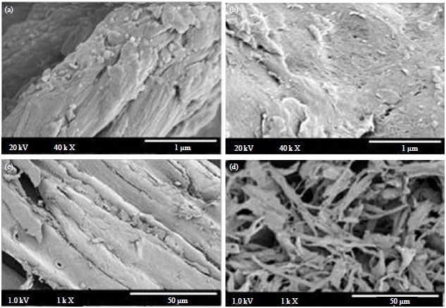 Image for - Pretreatment of Wood Biomass with Ionic Liquids: A "Green" Approach to Separate Cellulose for Use in Oilfield Application