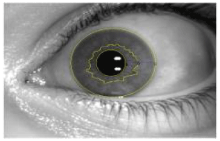 Image for - Identification Based on Iris Geometric Features