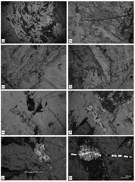 Image for - A Study of Geology and Geochemistry of Trace Elements in Central Alborz Coals,  Northern Iran