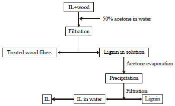 Image for - Pretreatment of Wood Biomass with Ionic Liquids: A "Green" Approach to Separate Cellulose for Use in Oilfield Application