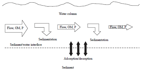 Image for - Study of Seasonal Phosphorus Dynamics in Vegetated and Non-vegetated Wetland Sediment Affected by Long-term Agricultural Productions