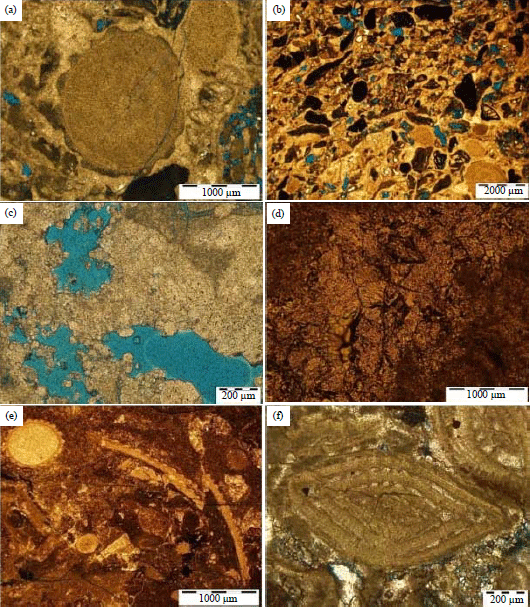 Image for - Sedimentology and Reservoir Geometry of the Miocene Carbonate Deposits in Central Luconia, Offshore, Sarawak, Malaysia