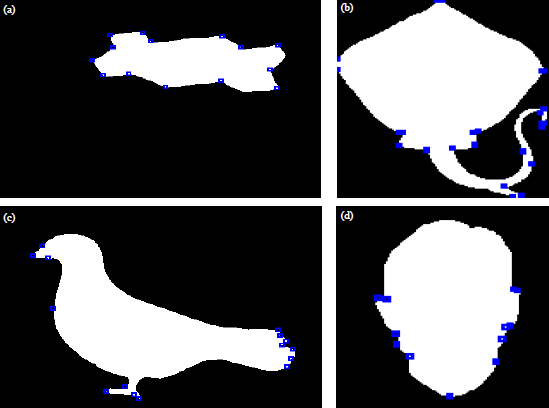 Image for - Improved Global and Local Curvature Properties for Shape Corner Detection