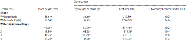 Image for - Effect of Shading Net and Interval of Watering Increase Plant Growth and Yield of Potatoes ‘Atlantic’