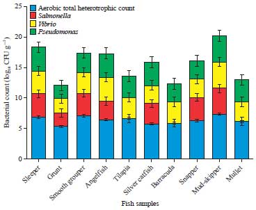 Image for - Diversity and Antibacterial Potential of Siderophore Producing Bacteria Isolated from Marine Fish Species