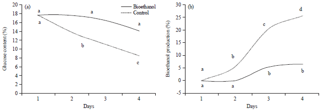 Image for - Bioethanol Production from Fruit Biomass as Bio-antiseptic and Bio-antifermenter: Its Chemical and Biochemical Properties