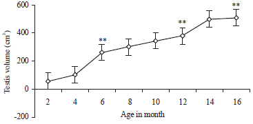 Image for - Testicular Parameters and Scrotal Measurements in Relation to Age and Body Weight in Growing Naemi-Rams