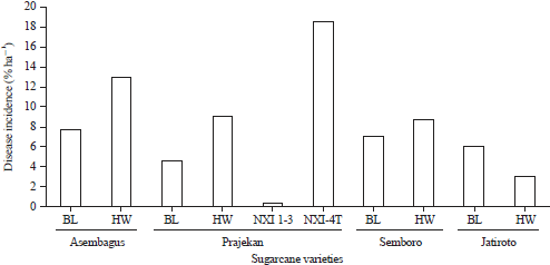 Image for - Monitoring Sugarcane mosaic virus (SCMV) on Recent Sugarcane Varieties in East Java, Indonesia
