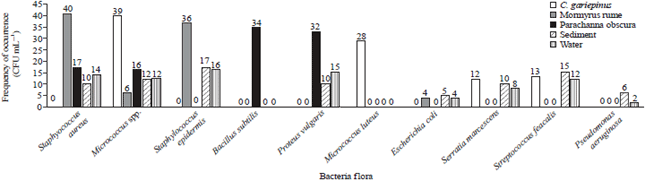 Image for - Phytochemical Antibacterial Effect of Borrerial verticillata Extract on Bacteria Isolated from Some Fish Species of Ogbese River