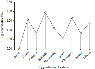 Image for - Investigating the Existence of Artificial Eggs in Bangladesh and the Fact