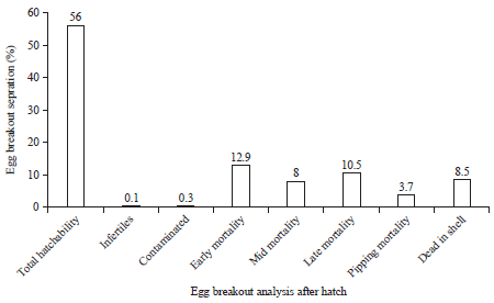 Image for - Pre-hatch and Post-hatch Egg Breakout and Hatchability Analysis as an Indicator to Increase Layer Breeder Performance and Egg Hatchability
