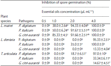 Image for - Study of Essential Oil Composition and Antifungal Activity of Lavandula mairei, L. dentata and Tetraclinis articulata