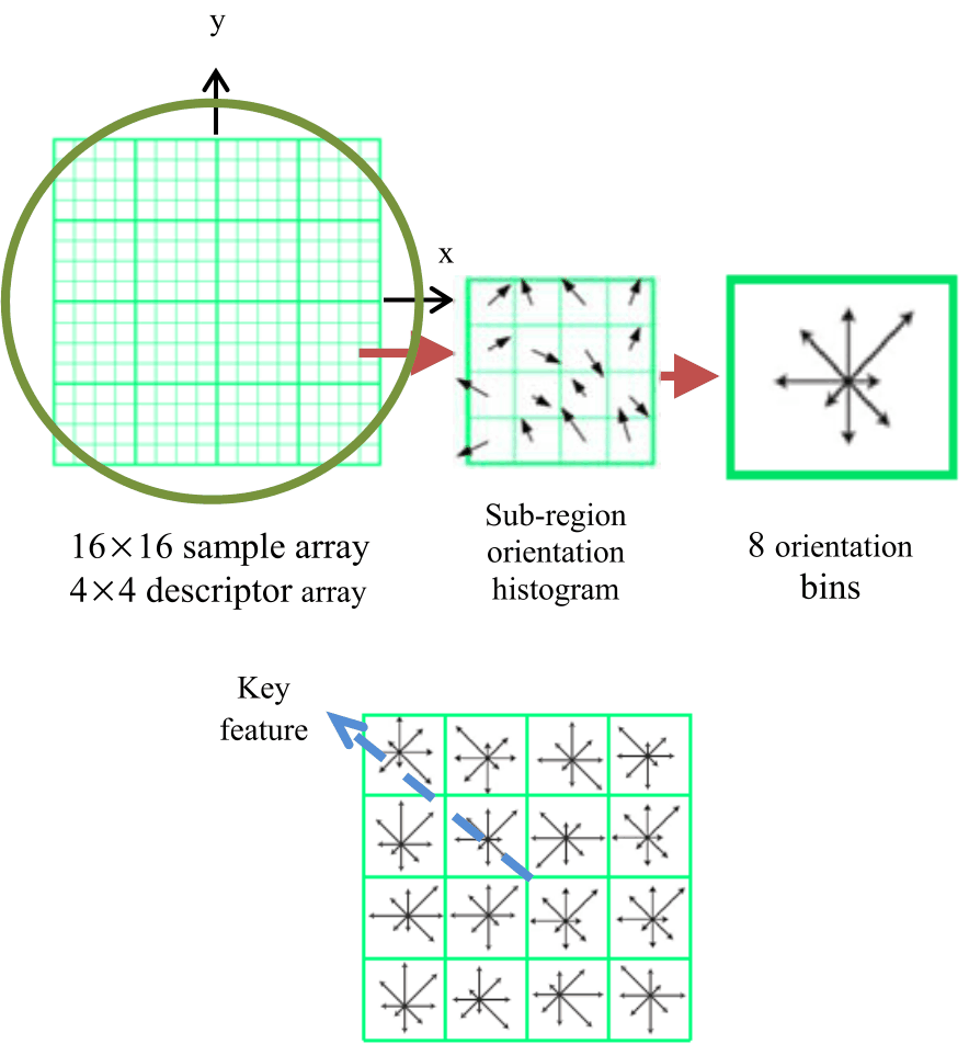 Image for - Feature Point-Based Dense Image Matching Algorithm for 3-D Capture in Terrestrial Applications
