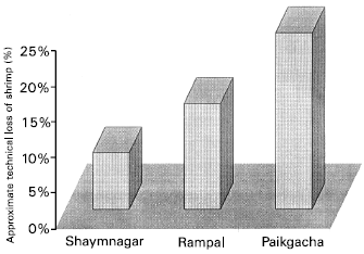 Image for - Identification of Cause of Shrimp Quality Loss Due to Farm Operation and Post Harvesting Handling at Depots and Markets of Bangladesh
