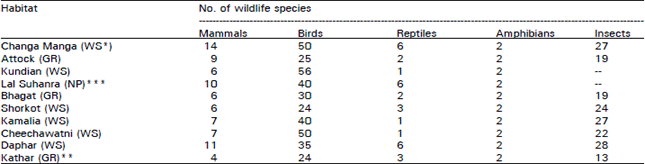 Image for - Wildlife Diversity in the Punjab (Pakistan)