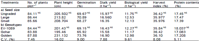 Image for - Influence of Seed Size on Yield, Yield Components and Quality of Three Maize Genotypes