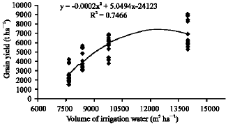 Image for - Water Use Efficiency in Wheat Grown Under Drought Conditions