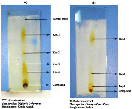 Image for - Effect of Aqueous Extracts of Some Weeds on Germination and Growth of Wheat and Jute Seeds with Emphasis on Chemical Investigation