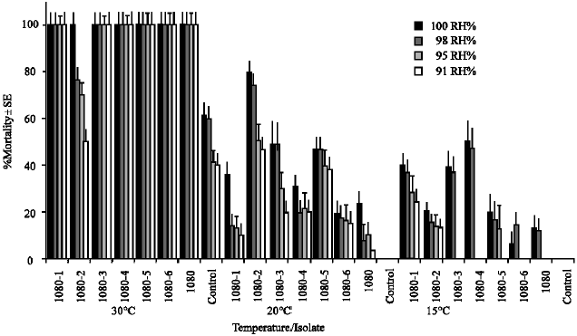 Image for - Variation in Germination, Virulence and Conidial Production of Single Spore Isolatesof Entomopathogenic Fungi in Response to Environmental Heterogeneity