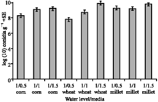 Image for - Effect of Growing Media and Water Volume on Conidial Production of Beauveria bassiana and Metarhizium anisopliae