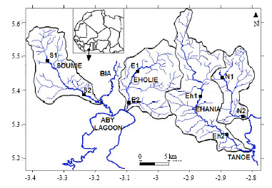 Image for - Aquatic Insect Assemblage Patterns in Four West-African Coastal Rivers