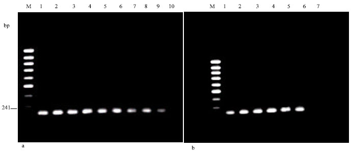 Image for - PCR-based Detection of Low Levels of Staphylococcus aureus Contamination in Pharmaceutical Preparations
