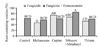 Image for - Fungicide Seed Treatments Minimally Affect Arbuscular-Mycorrhizal Fungal (AMF) Colonization of Selected Vegetable Crops