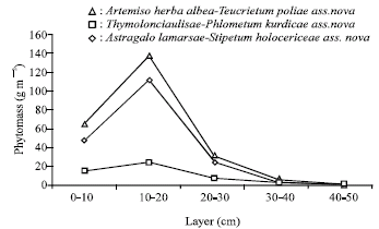 Image for - Dynamics of the Structure of Phytomass of Sanliurfa`s (Turkey) Steppe Vegetation