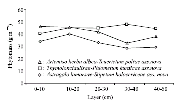 Image for - Dynamics of the Structure of Phytomass of Sanliurfa`s (Turkey) Steppe Vegetation