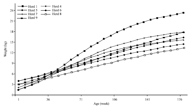 Image for - Non Genetic Factors Affecting Local Kids` Growth Curve under Pastoral Mode in Tunisian Arid Region