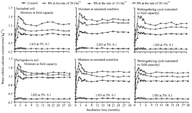 Image for - Consequences of Basic Slag on Soil pH, Calcium and Magnesium Status in Acid Sulfate Soils Under Various Water Contents