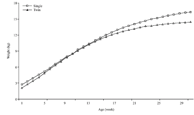 Image for - Non Genetic Factors Affecting Local Kids` Growth Curve under Pastoral Mode in Tunisian Arid Region