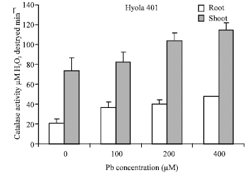 Image for - Effect of Lead on Germination, Growth and Activity of Catalase and Peroxidase Enzyme in Root and Shoot of Two Cultivars of Brassica napus L.