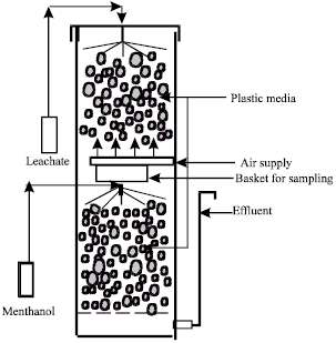 Image for - Removal of Ammonia from Landfill Leachate in a Two-Stage Biofiltration Process