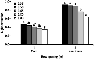 Image for - Row Spacing Effects on Light Extinction Coefficients, Leaf Area Index, Leaf Area Index Affecting in Photosynthesis and Grain Yield of Corn (Zea mays L.) and Sunflower (Helianthus annuus L.)