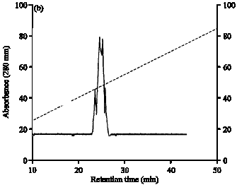 Image for - In vitro Antiviral Activity of Crinum latifolium  Lectin Against Poxvirus Replication