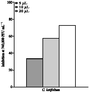 Image for - In vitro Antiviral Activity of Crinum latifolium  Lectin Against Poxvirus Replication
