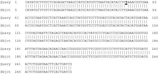 Image for - Genetic Diagnosis of Fasciola Species Based on 18S Ribosomal  DNA Sequences