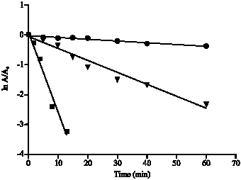 Image for - Effect of Heat Treatment on Buffalo (Bubalus bubalis) Lactoperoxidase Activity in Raw Milk