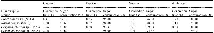 Image for - Specific Growth Rate and Carbon Sugar Consumption of Diazotrophs Isolated from Rice Rhizosphere
