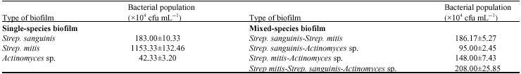 Image for - The Behaviour of Selected Oral Bacteria in Single- and Mixed-Species Biofilms