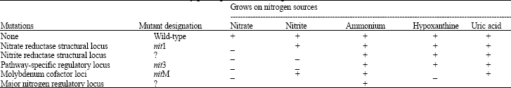 Image for - Vegetative Compatibility Groups among Fusarium solani Isolates Causing Potato Dry Rot
