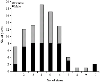 Image for - Survival and Sex Ratio of a Planted Rattan Calamus palustris Griff. Population: Implication to Seed Production and Management