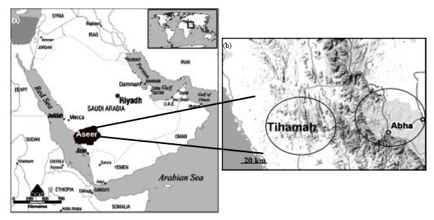 Image for - Factors Affecting the Prevalence of Human Schistosomiasis in Aseer Region, Saudi Arabia