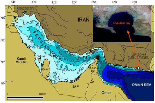 Image for - New Observation of Three Species of Sea Cucumbers from Chabahar Bay (Southeast Coasts of Iran)