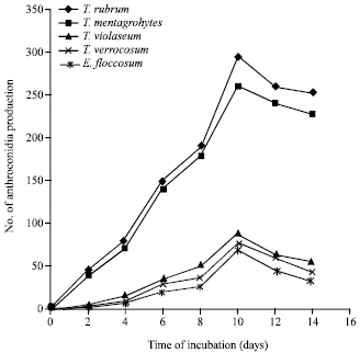 Image for - Effects of Environmental Factors and Selected Antifungal Agents on Arthroconidia Production in Common Species of Trichophyton Genus and Epidermophyton floccosum