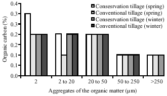 Image for - Soil Organic Matter Particle and Presence of Earthworm Under Different Tillage Systems