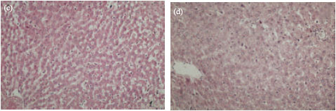 Image for - Hepatoprotective and Antioxidant Effect of Andrographis echioides N. against Acetaminophen Induced Hepatotoxicity in Rats